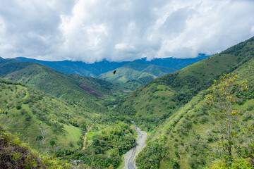 Fototapeta premium Andean landscape with river valley and flying bird