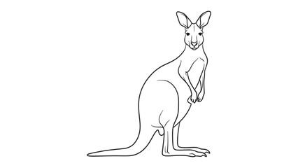 Fototapeta premium Kangaroo Contour : A clean contour of a kangaroo, standing upright, ready to embark on its journey, capturing the essence of the creature in an illustrative way.