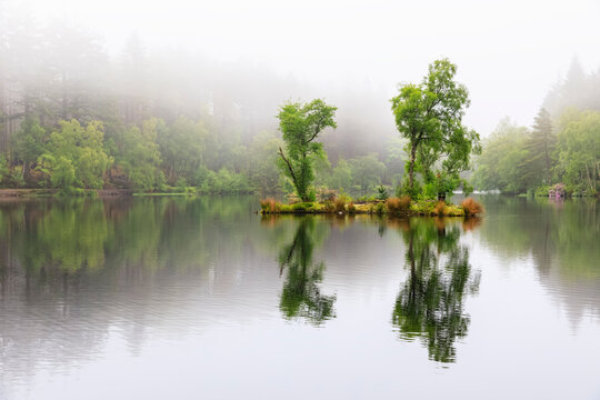 Great Britain, Scotland, Scottish Highlands, Glencoe, Glencoe Lochan, morning fog