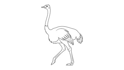 Obraz premium Ostrich Outlined: A clean, minimalist outline of a majestic ostrich, captured with elegant simplicity, allowing for versatile creative use.