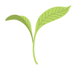 Vector illustration of a green sprout with two leaves. Flat botanical and eco object