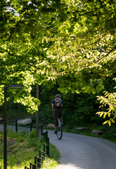 Urban unicycle rider traveling along a leafy park trail on a sunny day. Alternative transportation, eco lifestyle, balance and coordination, green city living. © Anna