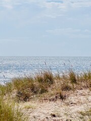 Im Sommer am Meer in Schweden