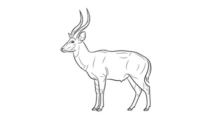 Obraz premium Elegant Antelope Silhouette: A sleek, linear illustration of an antelope, embodying grace and strength, captured in a clean, minimalist style.