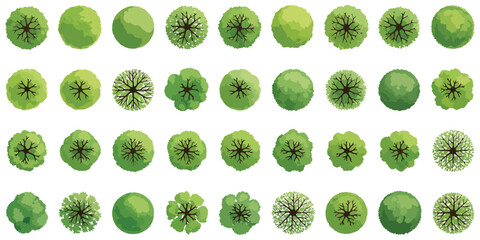 Collection of watercolor style tree top view illustrations for landscape architecture, green vegetation symbols with branch details for urban site plans, garden layout and master planning. © NexThread