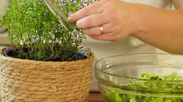 Woman cutting fresh thyme leaves for salad