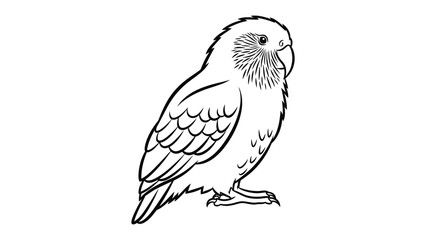 Fototapeta premium Graceful Parrot Sketch: An elegant parrot, captured in delicate linework, stands poised, showcasing its intricate feather patterns and curious gaze.