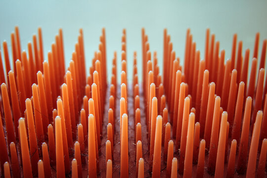 Abstract composition of a hairbrush