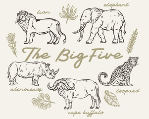 African big five animals Whimsical Set - vector hand drawn illustrations