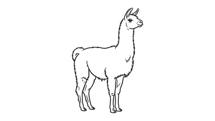 Obraz premium Majestic Llama in Profile: A serene black and white illustration of a llama stands gracefully in profile, its elegant neck and gentle demeanor adding a touch of peacefulness.