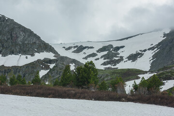 Naklejka premium Minimal alpine view from snowfield and conifer trees to sharp rocky mountain with snow in rainy haze. Minimalist dramatic mountain landscape in gloomy weather in rain time. Gray sky in high mountains.