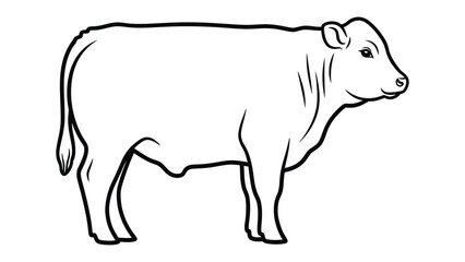 Fototapeta premium Cattle Illustration: A detailed black-and-white illustration of a single cow, highlighting its form and features, perfect for various design uses.