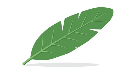 Elegant Green Botanical Element with Subtle Veins and Natural Shadow for Eco-Friendly Design Projects