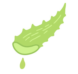 Vector illustration of aloe vera leaf with gel drop. Flat skincare and healing plant