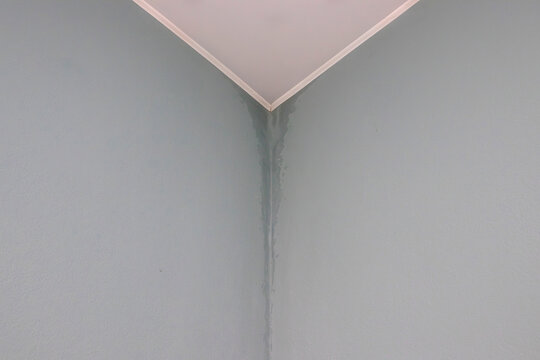 Damp wall corner near ceiling with dark water marks and peeling paint. Concept of indoor humidity, moisture accumulation, mold formation, poor ventilation, home interior damage.