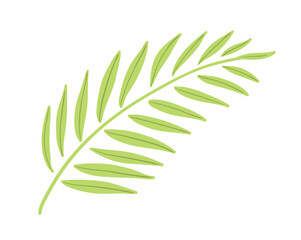 Vector illustration of a green palm leaf in flat design. Isolated tropical botanical object.