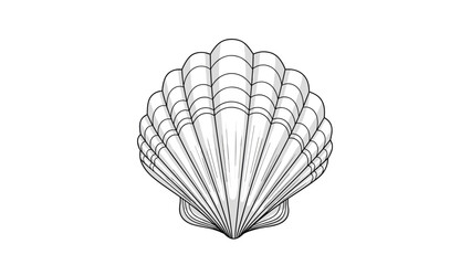 Detailed black and white line drawing of a classic scallop seashell highlights its natural ridges and graceful symmetry.