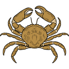 PNG illustration of zodiac signs in a synthage linear retro engraving style with baroque elements. Astrology and tarot	