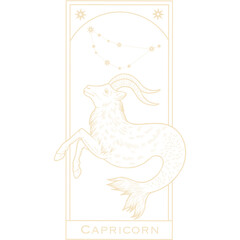PNG illustration of zodiac signs in a synthage linear retro engraving style with baroque elements. Astrology and tarot	