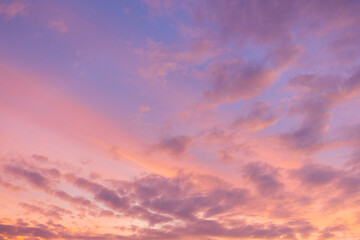 Obraz premium Breathtaking Cotton Candy Sunset Sky with Dreamy Pastel Clouds,A stunning wide-angle view of a twilight sky filled with soft, wispy clouds illuminated by vibrant shades of pink, purple, and orange,