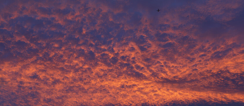 Commercial Airplane flies into a beautiful evening sea of clouds