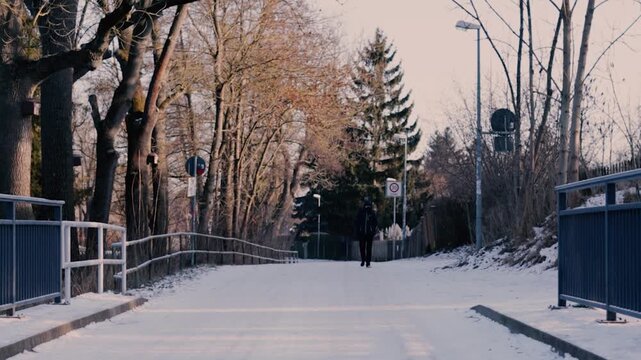 Lone Walker  on Snowy Urban Bridge Winter Video, City Park Running Cold Weather, Bare Trees, Street Signs, Atmospheric Cinematic Footage