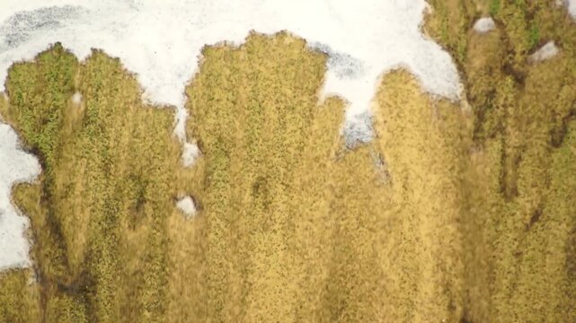 The movement of abstract multicolored quicksand