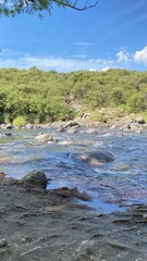 Obraz premium A wide shot of a shallow, fast-flowing river with clear water rippling over large grey stones. The background features dense Mediterranean-style shrubland typical of the Córdoba hills. The foreground 