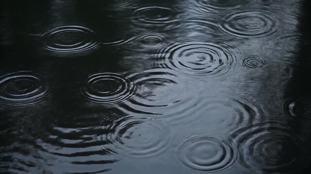 Dark pond surface with circular rain ripples and soft reflections creating moody atmosphere dark pond surface with concentric