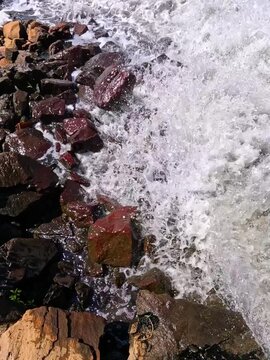 The Khadzhibey Estuary, Polluted water from a pipe from the "Irrigation Field" flows into the estuary
