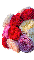 Vibrant Bouquet of Colorful Roses with Red, White and Pink Blossoms