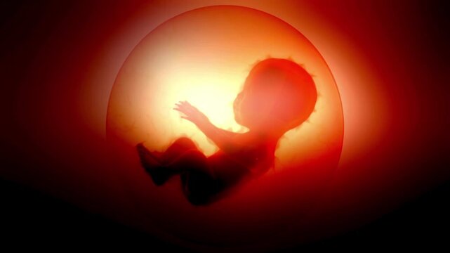 Fetus or Embryo in Womb Glowing Red Concept of Pregnancy and Birth