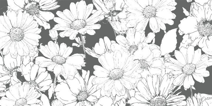 Detailed black and white line of numerous daisy flowers against a dark gray background floral bloom blossom