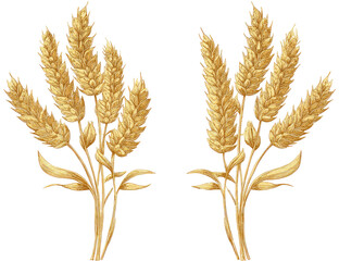 Two stylized wheat stalks, golden-yellow, detailed, graphic