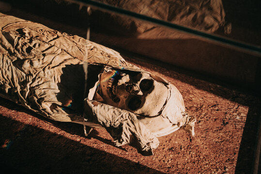 Ancient Guanche Mummy from Teide Volcano Area, Tenerife - Canary Island