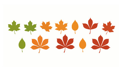 Fototapeta premium Autumn maple and chestnut leaves vector set in green orange and red isolated on white