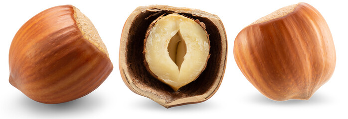 Hazelnuts isolated on a white background