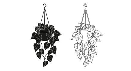 Two hanging plant illustrations in black and white line art style