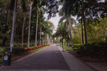 Obraz premium Tropical Pergola Walkway with Palm Trees in Garcia Sanabria Park, Tenerife