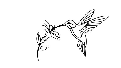 Naklejka premium A minimalist line art illustration of a hummingbird in flight, sipping nectar from a flower branch.
