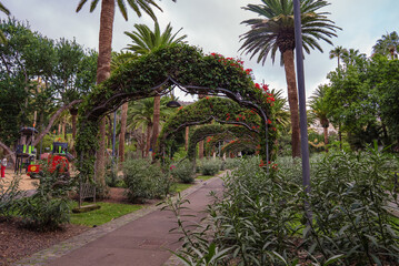 Fototapeta premium Tropical Pergola Walkway with Flowering Arches in Garcia Sanabria Park