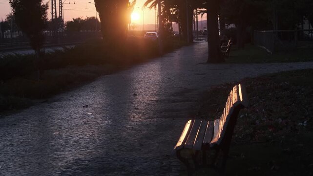 Golden sunset light over an empty park path with benches and palm trees beside a road. Calm outdoor evening scene with long shadows and warm glow.