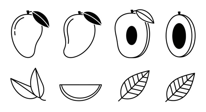 A simple line drawing of various mango forms and leaves on a plain background from a straightforward viewpoint