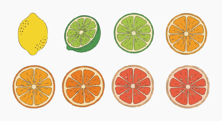 Obraz premium Assorted citrus fruits sliced and arranged in a grid pattern on a clean background viewed from directly above showcasing lemon, lime, orange, and grapefruit