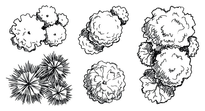 Tree top view symbols for landscape design plans. A hand drawn vector illustration set of architectural plant sketches for creating maps, garden layouts, and environmental park projects.