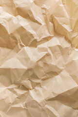 Obraz premium Beige recycled craft paper texture. Crumpled surface of page with folds. Wrinkled pattern as background. Rough art creased grunge letter. Textured vertical backdrop with copyspace for text.