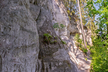Scenic Sietiniezis sandstone cliff in Gauja forest