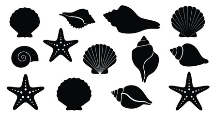 Black silhouettes of various seashells starfish and marine life forms © Siam Studio