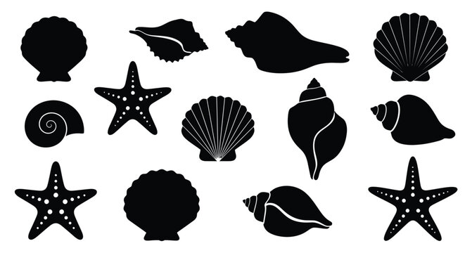 Black silhouettes of various seashells starfish and marine life forms