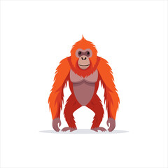 Vector illustration of an orangutan standing upright on a plain background from a front viewpoint, file reference C142.eps
